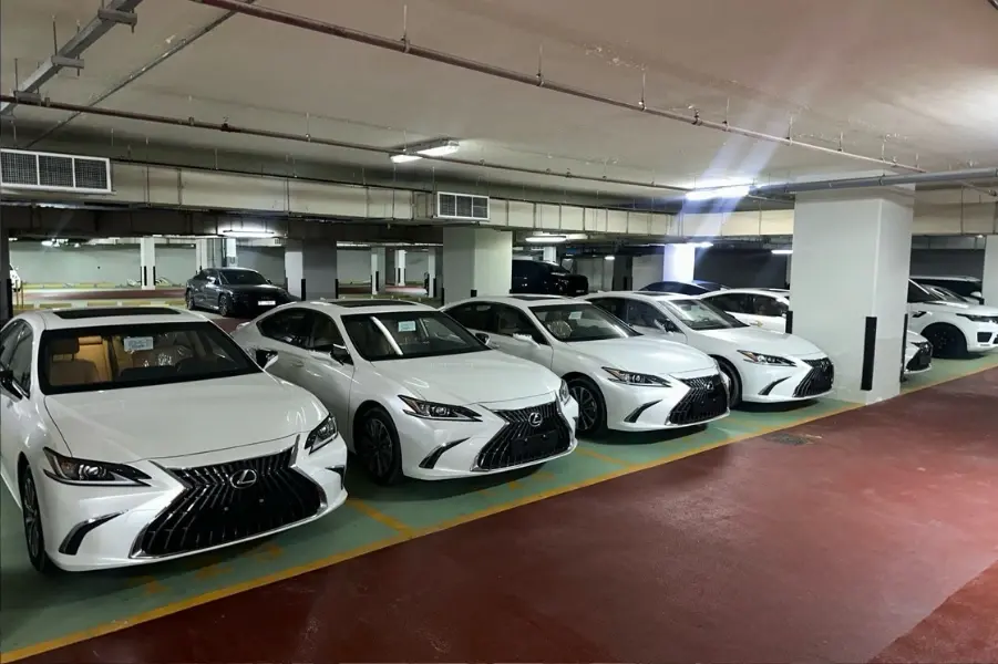 VIP-Flughafenankunft in Dubai